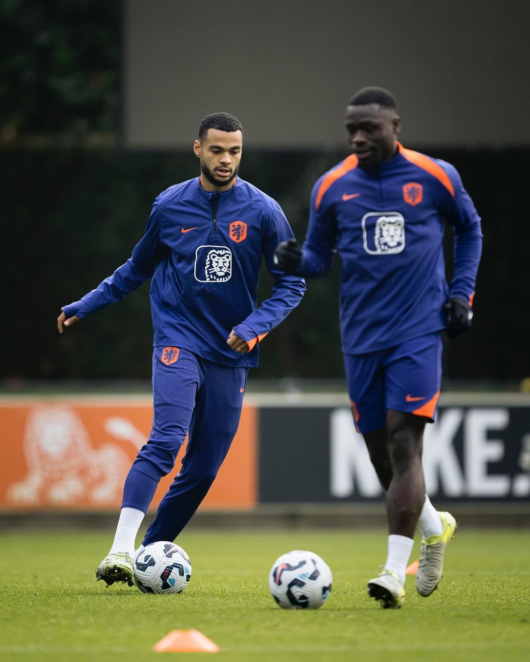 PHOTO GALLERY: Inside the first training session of Liverpool trio Gakpo, Gravenberch and Van Dijk on Netherland team